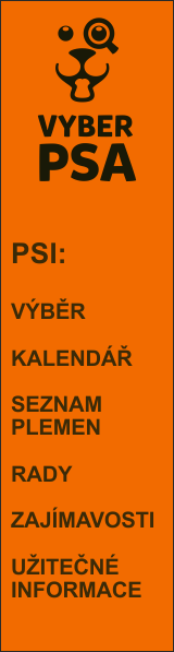 odkaz na web www.vyberpsa.cz formátu 120x240 pixelů, oranžový